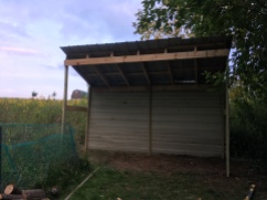 Finished wood shed